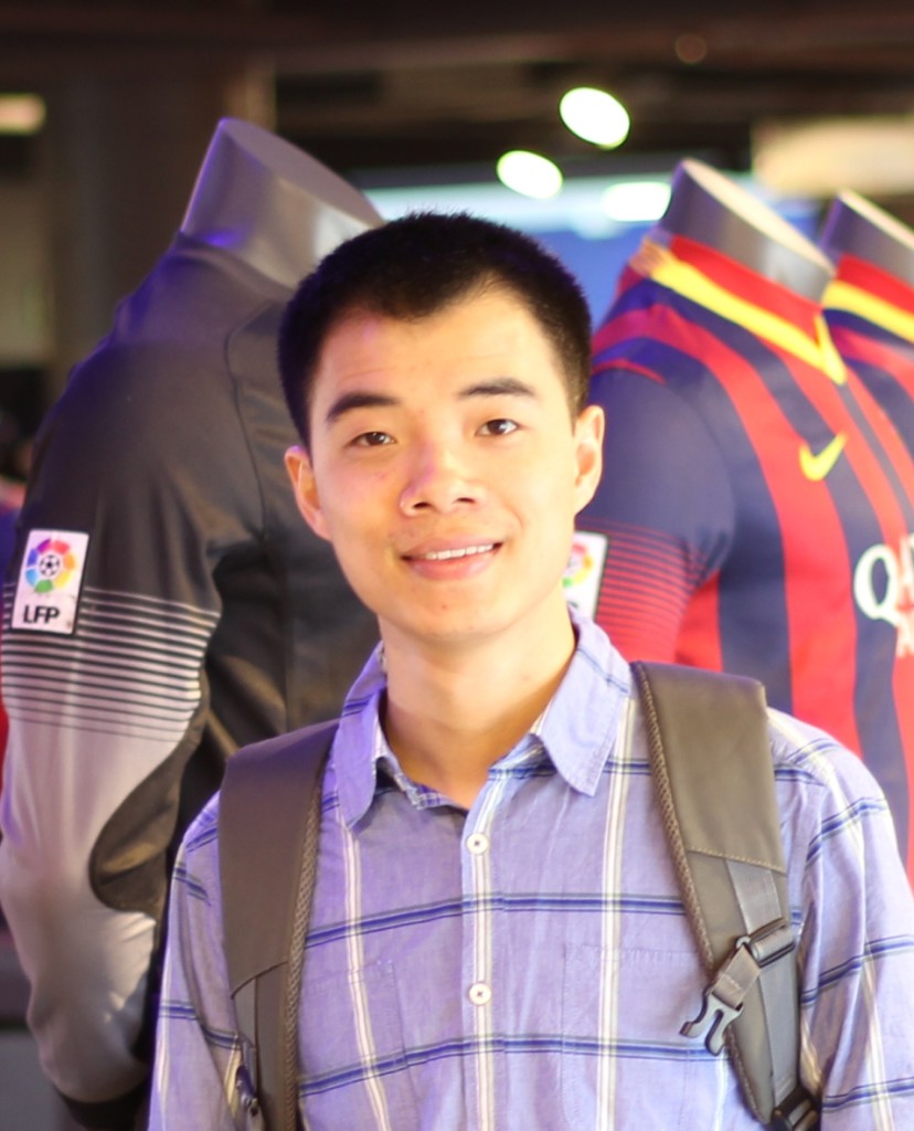 Cottet phd thesis 08 image